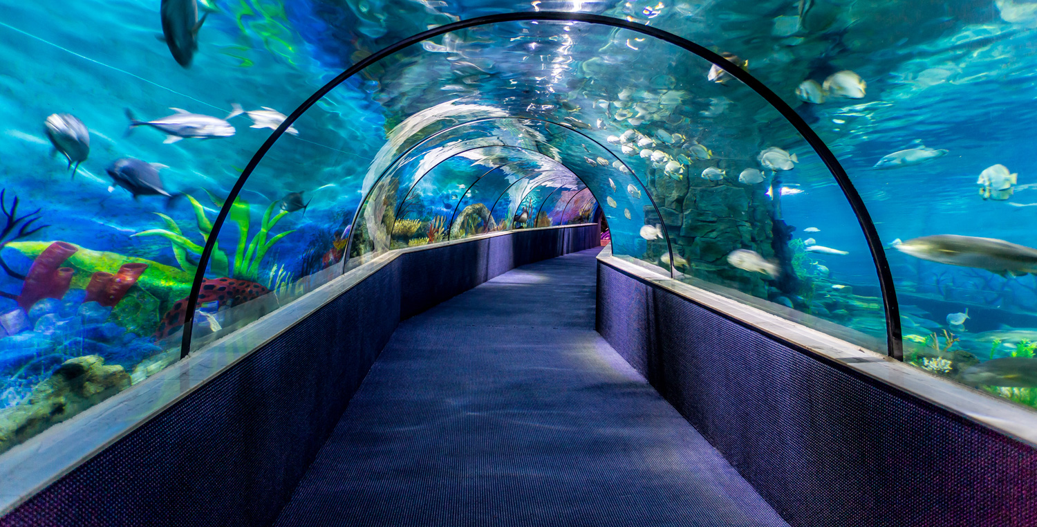 Thủy cung đầu tiên tại Hà Nội