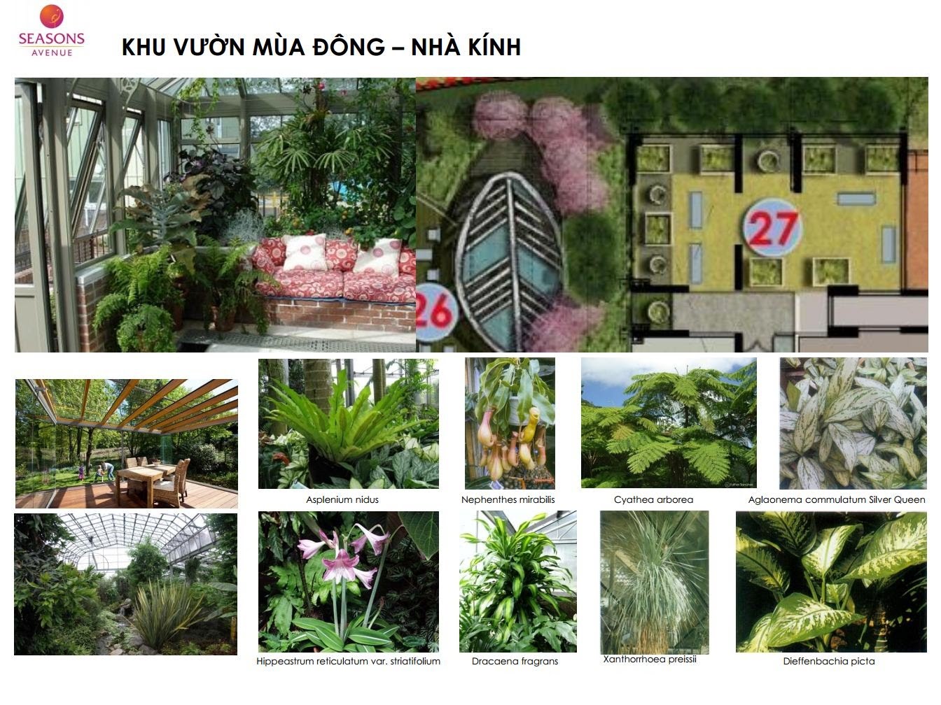 Khu vườn mùa đông chung cư Seasons Avenue